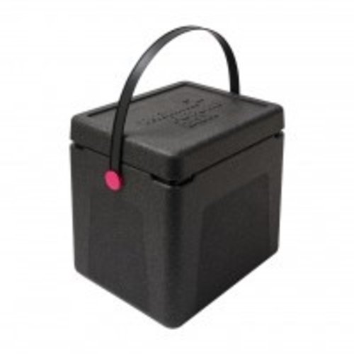  Thermo Future Box Thermo box | 20 liter | Draaghendel | 300x220x310 mm 