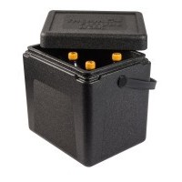 Thermo box | 20 liters | Carry handle | 300x220x310mm