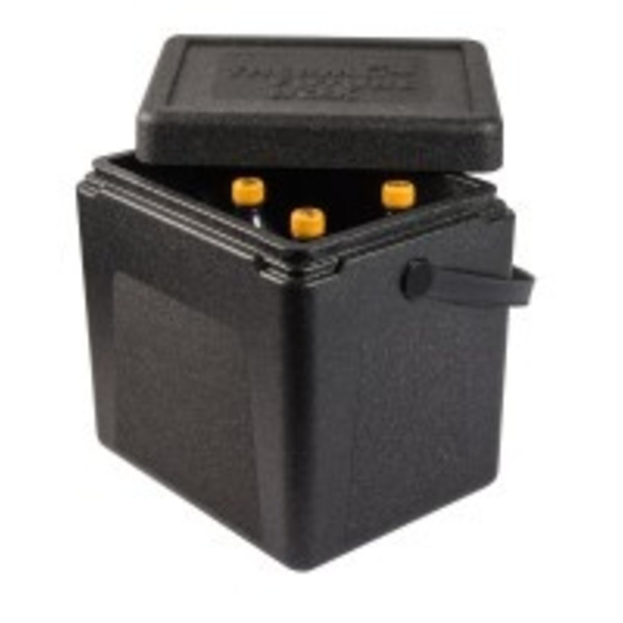 Thermo box | 20 liter | Draaghendel | 300x220x310 mm