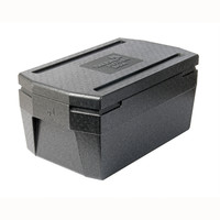 Deluxe Thermobox | Gastronorm 1/1 | 45 Liter | 535x325x260
