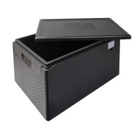 Euronorm thermo Box | 1/1 | 56L | 525x325x330 mm