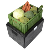 Boîte isotherme | 37 litres | 415x315x280 mm