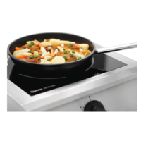 Cuisinière à induction | acier inoxydable | Argent | 8000W | 540x500x245 mm