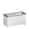 Liebherr EFE 4652 | conservateur de glace | 339 litres | Porte coulissante en verre