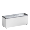 Liebherr EFE 6052 | conservateur de glace | 457 litres | Porte coulissante en verre