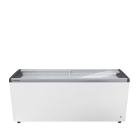 EFE 6052 | ice cream conservator | 457 litres | Glass sliding door