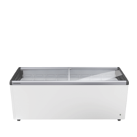 EFI 5653 | ice cream conservator | 408 liters | Glass sliding lid