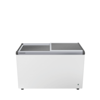 EFE 3800 | Blanc | Conservateur de glaces | 318L
