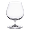 Arcoroc Cognac glasses | 25cl | 6 pieces