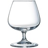 Arcoroc Cognac glasses | 41cl | 6 pieces