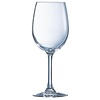 HorecaTraders Verres à vin | 25 cl | 24 pièces