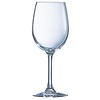 HorecaTraders Wine glasses | 25 cl | 24 pcs