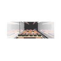 Gekoelde vitrine | Sushi | Verhard glas + LED