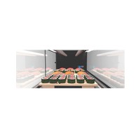 Kühlvitrine | Sushi | Gehärtetes Glas + LED