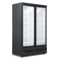 freezer 2 glass doors SVO-1000F