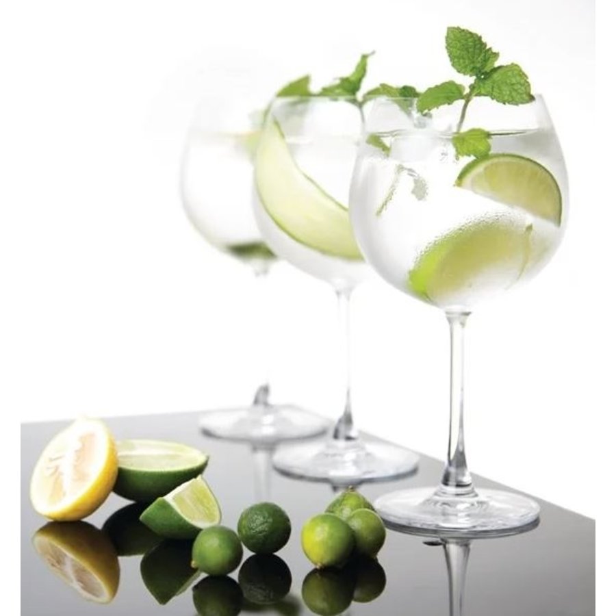 crystal gin glasses | 645ml | (6 pieces)