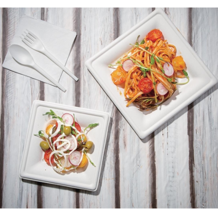 Assiettes en bagasse | Compostable | Carré | 159 mm (50 pièces)