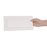 Assiettes en bagasse | Compostable | Rectangulaire | 258 mm | (50 pièces)