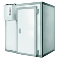 Freezer 290X410X (h) 250 cm | -10/-20 °C