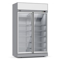 Freezer | 2 glass doors | 960L