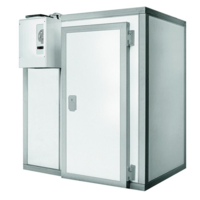 Cooling/freezing cell | 290 x 350 x 250 | incl. motor