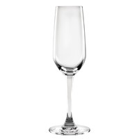 Verres à flûte Mendoza | 455 ml | 6 pièces | 18,5cl | 21,7(h) x 8,7(Ø)cm