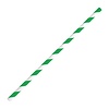 HorecaTraders Compostable Paper Straws | Green | 250 pieces