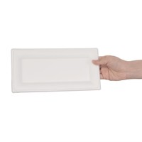kompostierbare Bagasse-Teller | 50 Stück | 1,4 (H) x 25,8 (B) cm