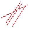 HorecaTraders Composteerbare papieren rietjes 210mm rood-wit | Individueel verpakt (250 stuks)