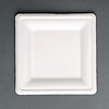 HorecaTraders Compostable bagasse plates | Square | 50 pieces