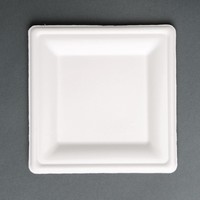 Assiettes en bagasse compostables | Carré | 50 pièces
