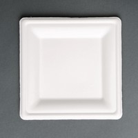 Compostable bagasse plates | Square | 50 pieces