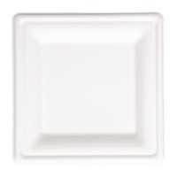 Assiettes en bagasse compostables | Carré | 50 pièces