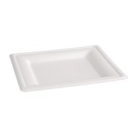 Kompostierbare Bagasse-Teller | Quadrat | 50 Stück