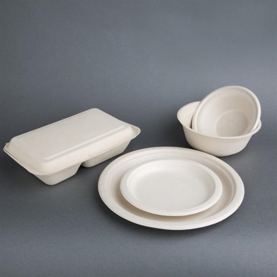 Compostable Bagasse Bowls | Square | 50 pieces