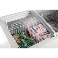 Gefrierschrank-Display | 270L | 93(h)x119.5x65 cm