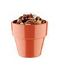 HorecaTraders Tasse | 6 (Ø) x 3,5 (H) cm | 0,04 l | 3 Farben
