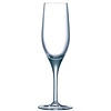 HorecaTraders Sensation Exalt champagne glasses | 19cl | 24 pcs