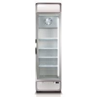Gefrierschrank-Display | Weiß | 72x65x(h)219 cm | 378 Liter | NoFrost