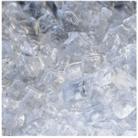 Ice cube machine | stainless steel | 200 kg | 77x55x80 cm
