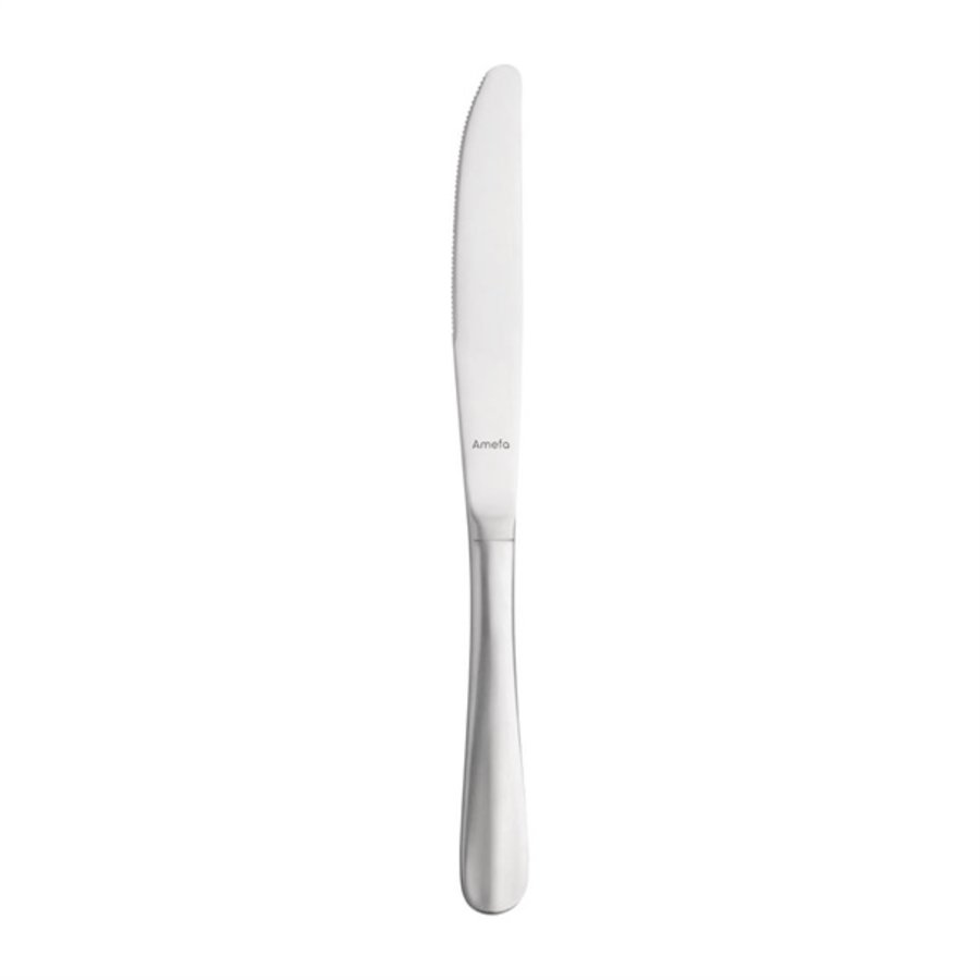 Baquette Table Knives | 12 pieces