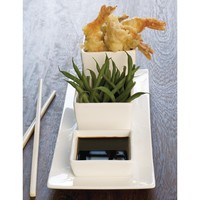 Lumina display dishes | 2.0cm | 6 pieces