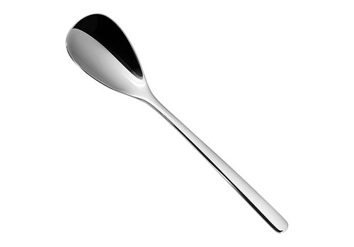  HorecaTraders Canada coffee spoon | 15 cm | stainless steel 