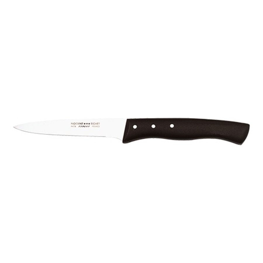 Paring knife | stainless steel | Plastic | 20 cm