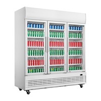 Display cooling | Three door | G-series | 1300L