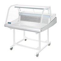 Vitrine réfrigérée à poisson | 175L | Série G