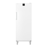 FFFsg 6501 | Freezer catering | White | 573 L