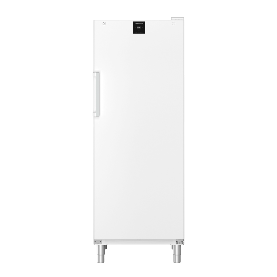 FFFsg 6501 | Freezer catering | White | 573 L