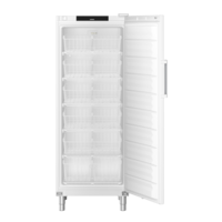 FFFsg 6501 | Freezer catering | White | 573 L