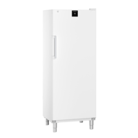 FFFsg 6501 | Freezer catering | White | 573 L